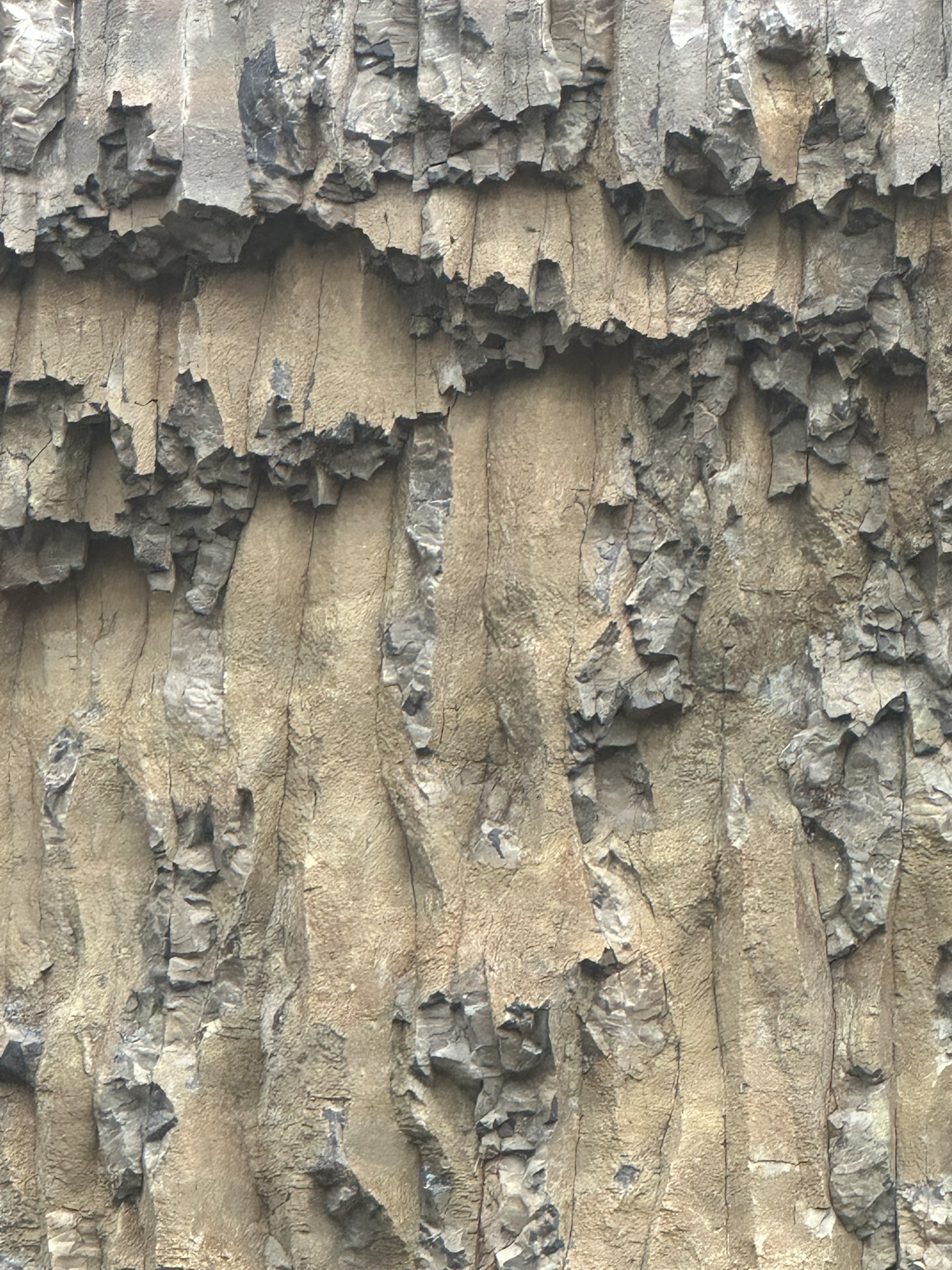 Yellowstone And Grand Teton National Parks - Image 789